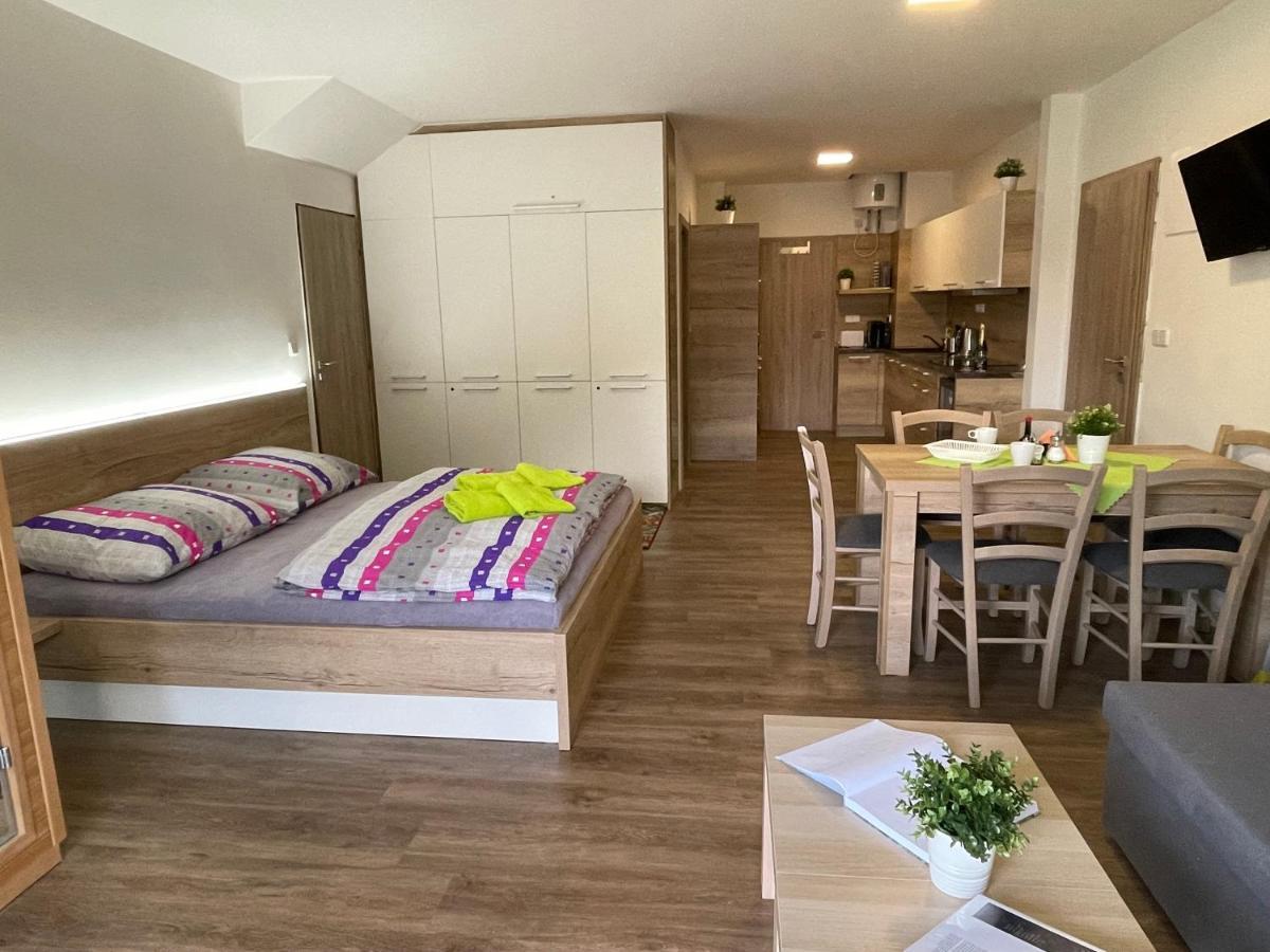 Apartment Wellness Vlckova エクステリア 写真