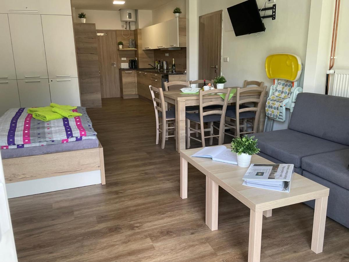 Apartment Wellness Vlckova エクステリア 写真