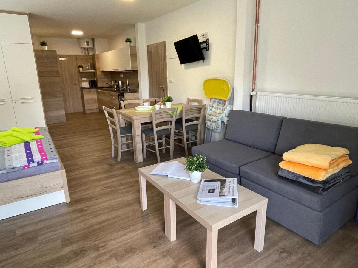 Apartment Wellness Vlckova エクステリア 写真
