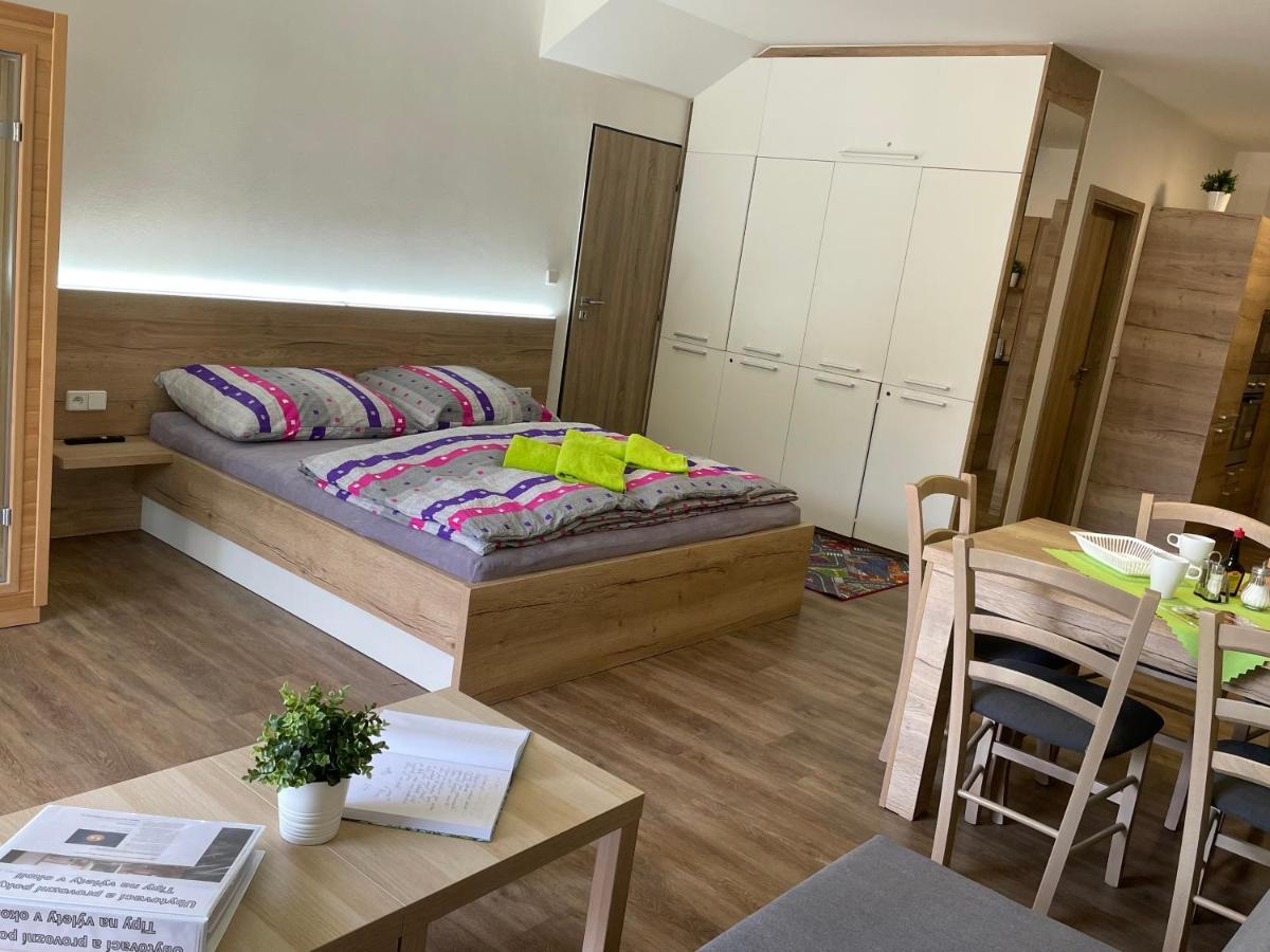 Apartment Wellness Vlckova エクステリア 写真