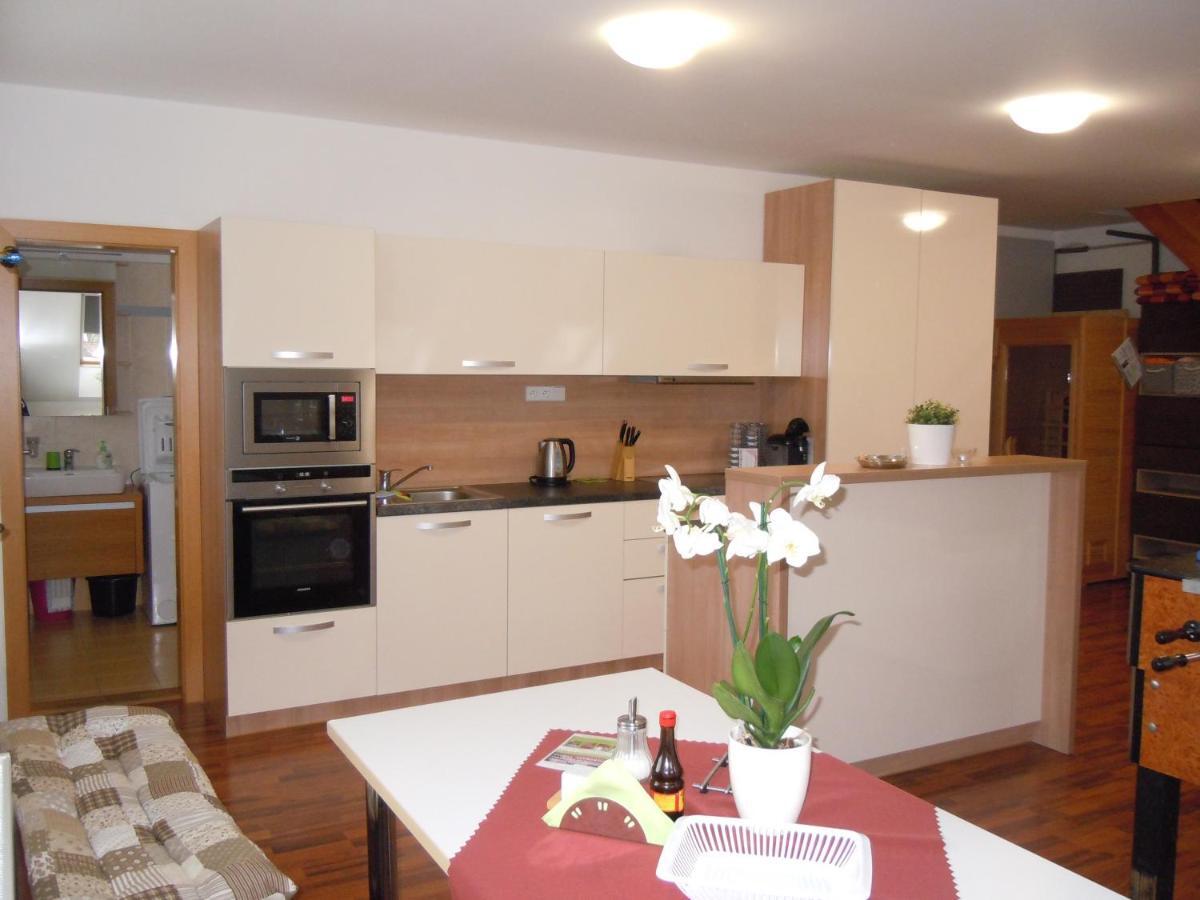 Apartment Wellness Vlckova エクステリア 写真
